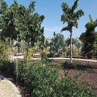 Hotel Capri *